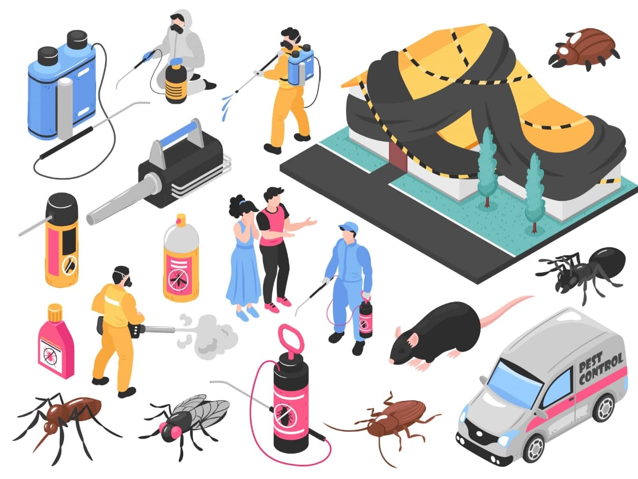 Désinsectisation - TG SERVICES
